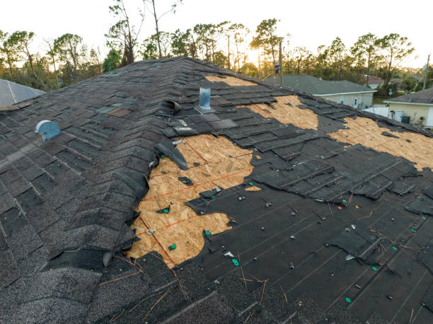 Best Slate Roofing  in Mckeesport, PA